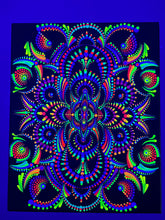 Load image into Gallery viewer, The Scarab
