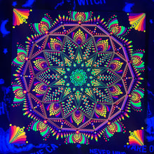 Load image into Gallery viewer, Starflower
